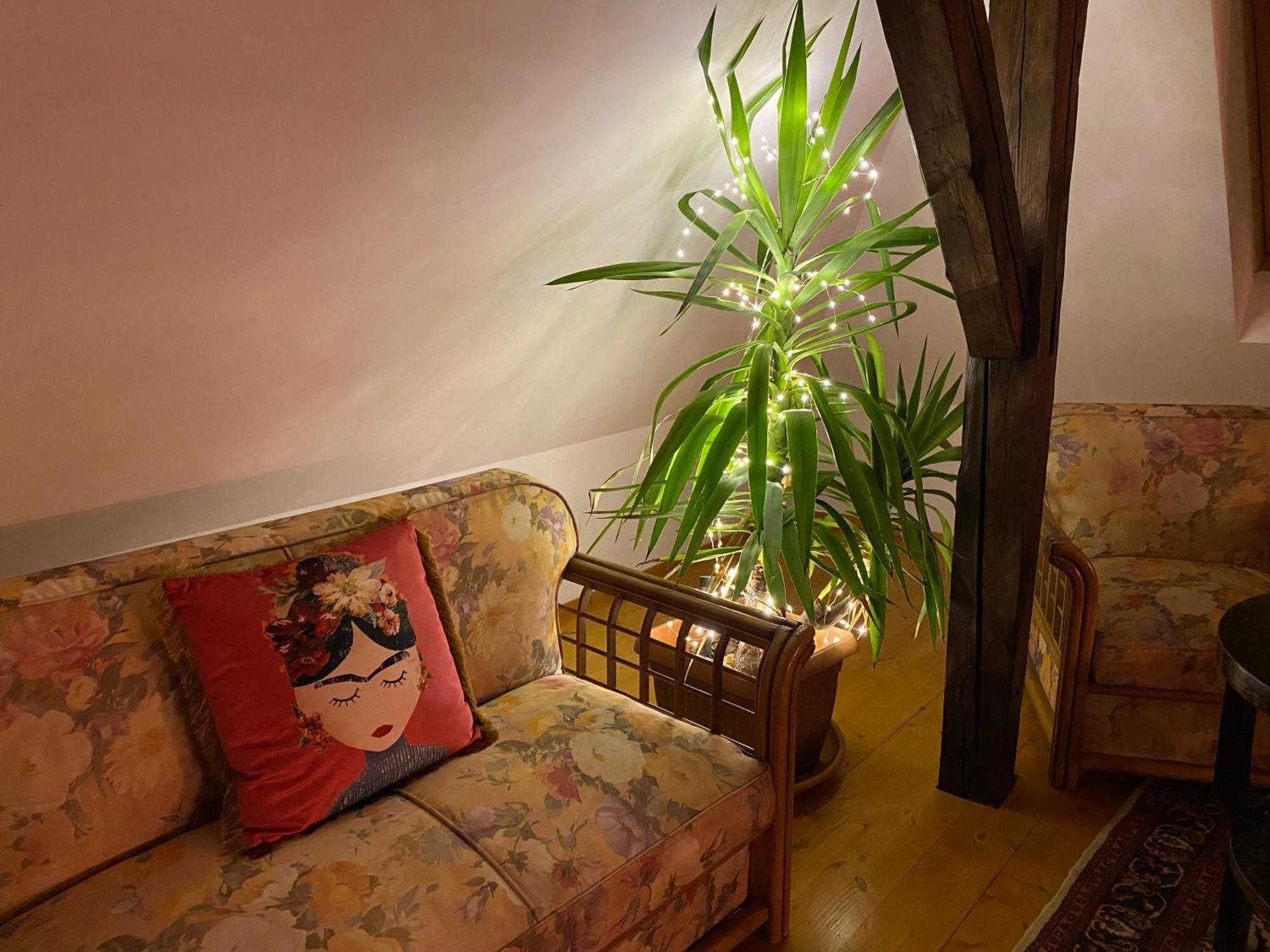 Rose'S Oldtown Apartment Брашов Екстериор снимка