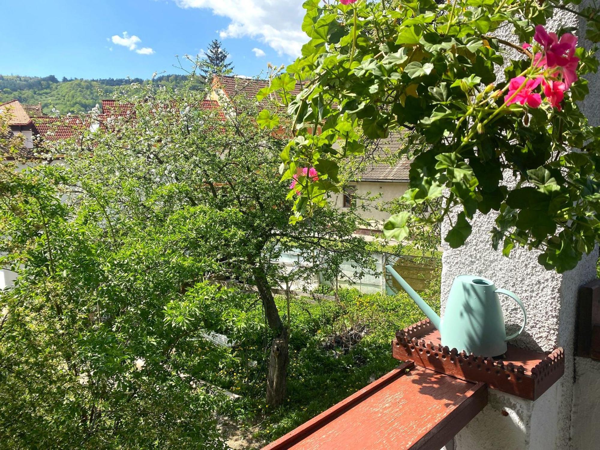Rose'S Oldtown Apartment Брашов Екстериор снимка