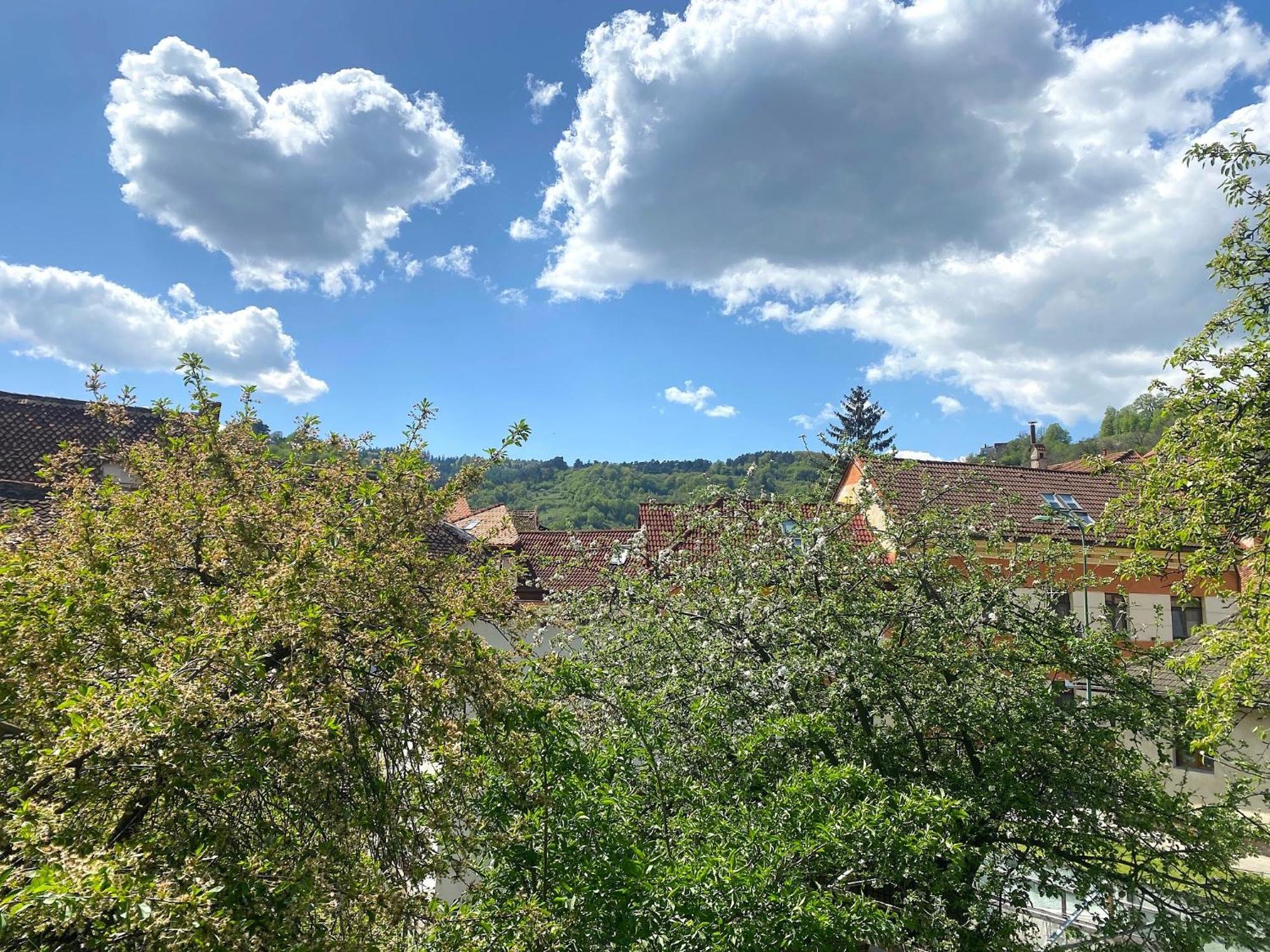 Rose'S Oldtown Apartment Брашов Екстериор снимка