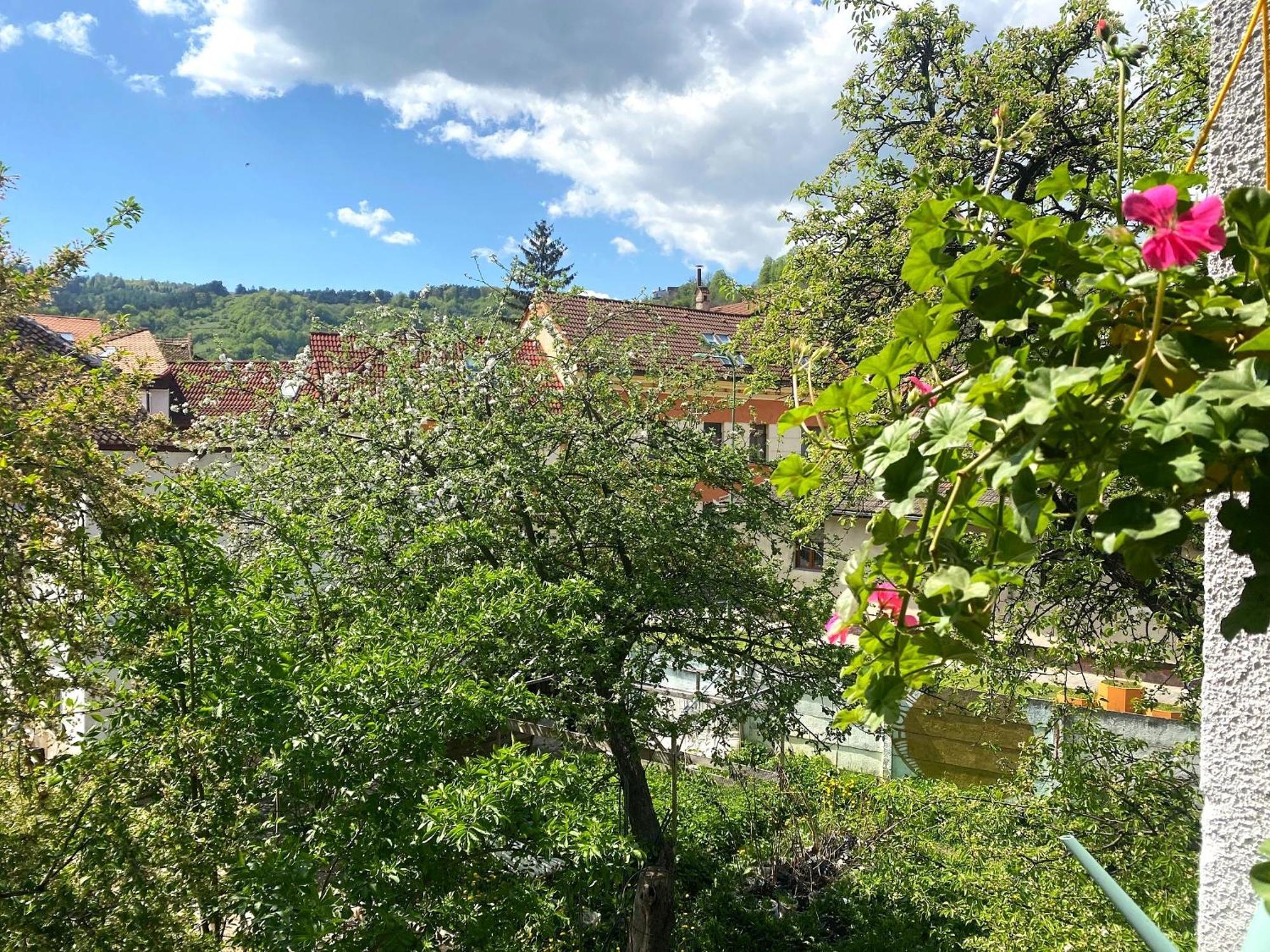 Rose'S Oldtown Apartment Брашов Екстериор снимка